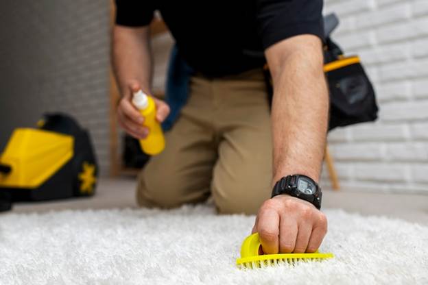 Carpet Care